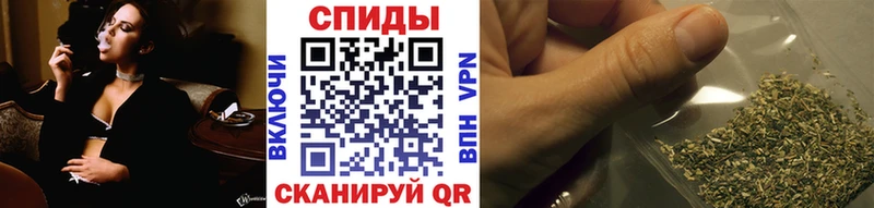 Купить  Данков  Бутират BDO 