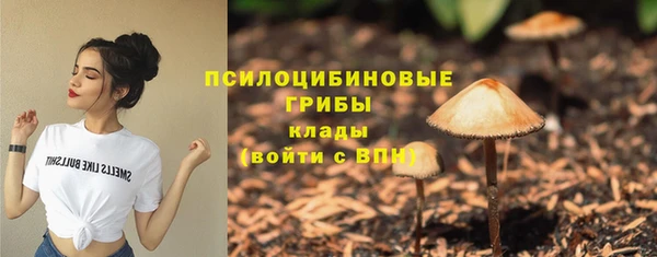 2c-b Баксан