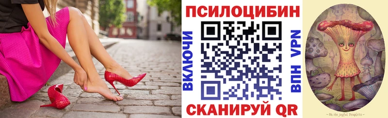 Псилоцибиновые грибы MAGIC MUSHROOMS  Купить где  Данков 