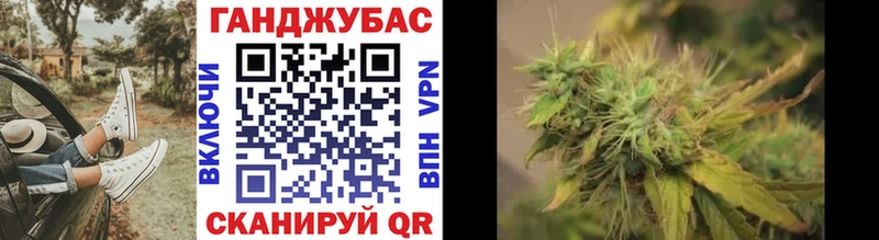 Купить  Данков  Бошки Шишки VHQ 